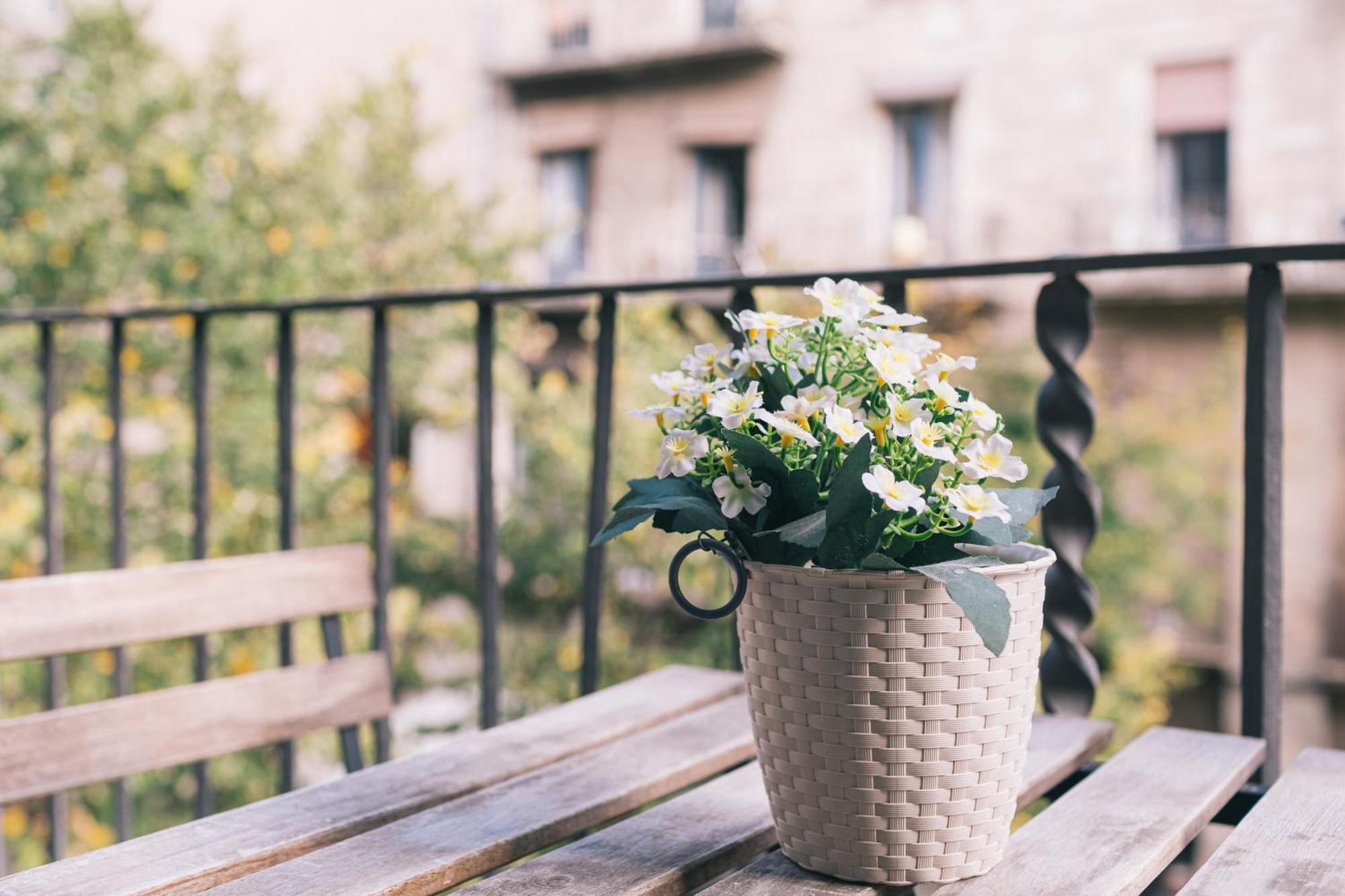 Apt 3 Cipres Girona Zewnętrze zdjęcie